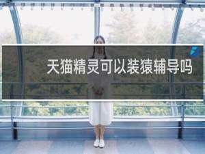 天猫精灵可以装猿辅导吗