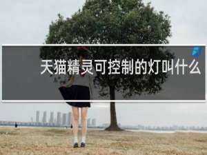 天猫精灵可控制的灯叫什么