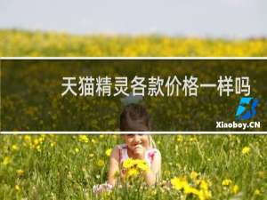 天猫精灵各款价格一样吗