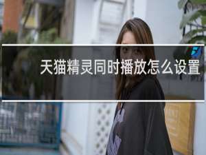 天猫精灵同时播放怎么设置