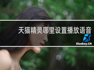 天猫精灵哪里设置播放语音