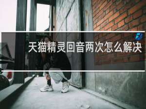 天猫精灵回音两次怎么解决
