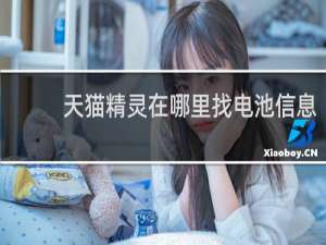 天猫精灵在哪里找电池信息