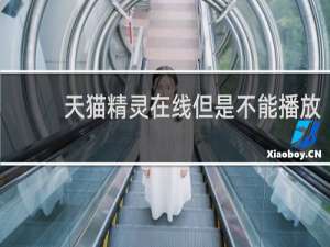 天貓精靈在線但是不能播放
