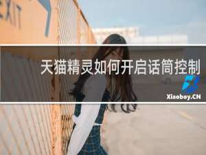 天貓精靈如何開啟話筒控制