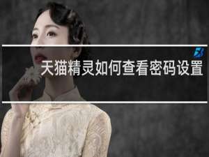 天貓精靈如何查看密碼設置