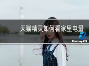 天貓精靈如何看家里電量