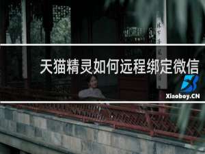 天貓精靈如何遠程綁定微信