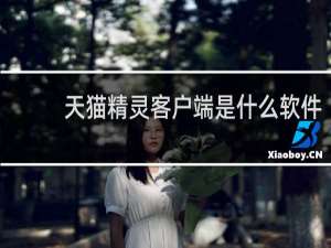 天猫精灵客户端是什么软件
