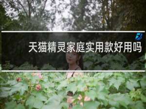 天貓精靈家庭實用款好用嗎