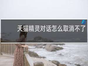 天貓精靈對話怎么取消不了