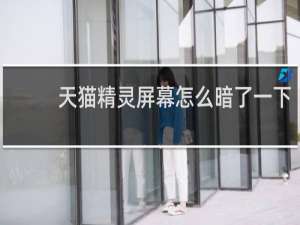 天猫精灵屏幕怎么暗了一下