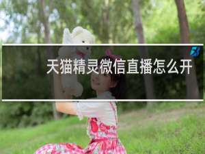 天猫精灵微信直播怎么开