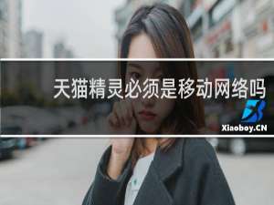 天猫精灵必须是移动网络吗