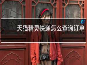 天貓精靈快遞怎么查詢訂單