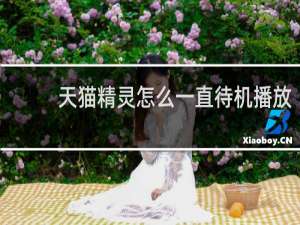 天猫精灵怎么一直待机播放