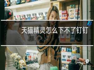 天猫精灵怎么下不了钉钉