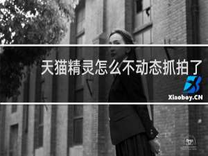 天猫精灵怎么不动态抓拍了