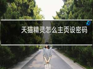 天貓精靈怎么主頁設密碼