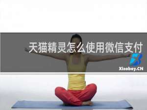 天貓精靈怎么使用微信支付