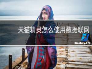 天猫精灵怎么使用数据联网