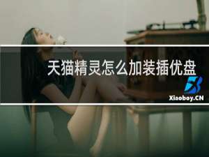天猫精灵怎么加装插优盘
