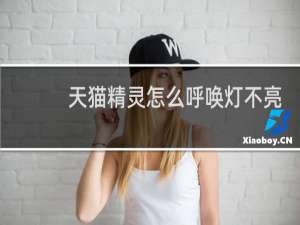 天猫精灵怎么呼唤灯不亮