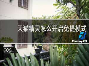 天猫精灵怎么开启免提模式