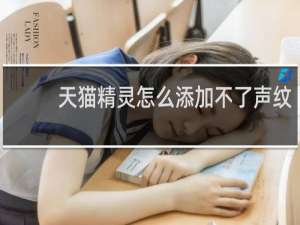 天猫精灵怎么添加不了声纹
