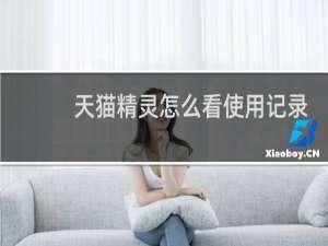 天貓精靈怎么看使用記錄