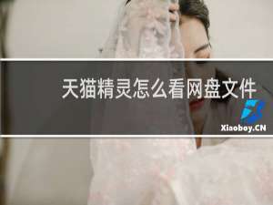 天猫精灵怎么看网盘文件