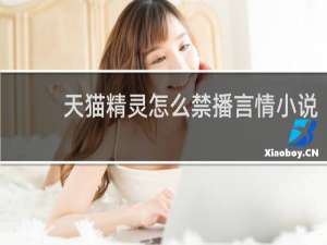 天猫精灵怎么禁播言情小说