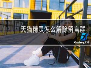 天猫精灵怎么解除留言群