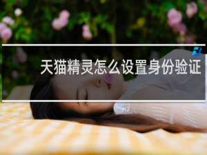 天貓精靈怎么設置身份驗證