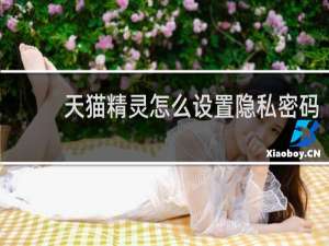 天貓精靈怎么設置隱私密碼