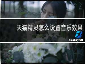 天猫精灵怎么设置音乐效果