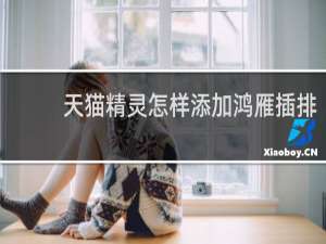 天猫精灵怎样添加鸿雁插排