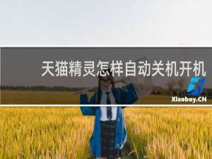 天猫精灵怎样自动关机开机