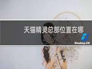天猫精灵总部位置在哪