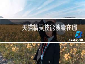 天貓精靈技能搜索在哪