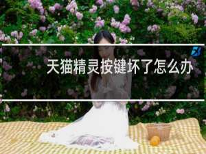 天猫精灵按键坏了怎么办