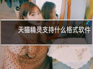 天貓精靈支持什么格式軟件
