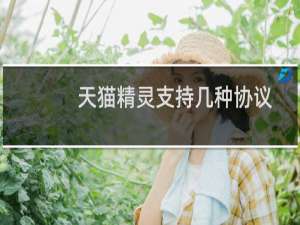 天猫精灵支持几种协议