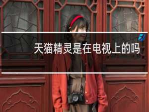 天猫精灵是在电视上的吗