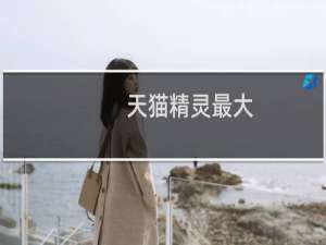 天貓精靈最大