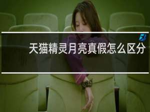 天猫精灵月亮真假怎么区分