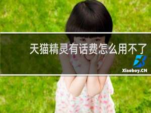 天猫精灵有话费怎么用不了