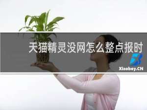 天猫精灵没网怎么整点报时