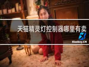天猫精灵灯控制器哪里有卖