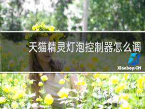 天猫精灵灯泡控制器怎么调